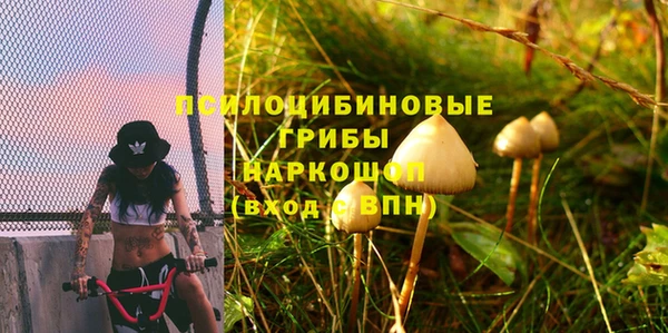 прущие грибы Покров