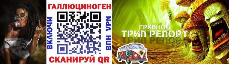 Галлюциногенные грибы GOLDEN TEACHER  Стрежевой 