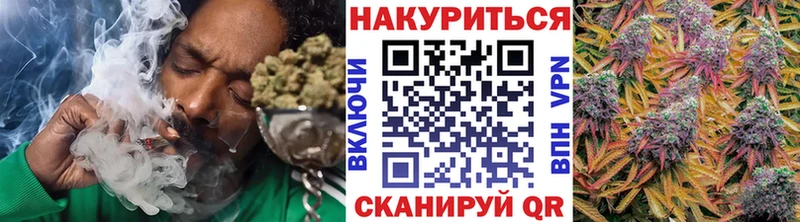 купить  цена  Стрежевой  Бошки Шишки OG Kush 