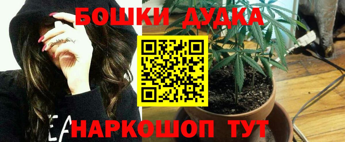 Каннабис план  Бошки марихуана LSD WEED  Стрежевой  Марихуана MAZAR  МАРИХУАНА планчик  Вход с VPN 